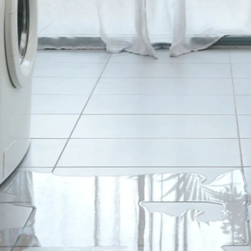 Appliance Leak Cleanup in Clark County, NV