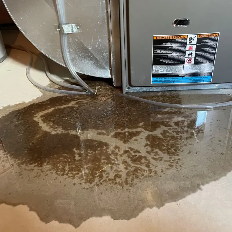 Pipe Burst and Leak Restoration in Clark County, NV