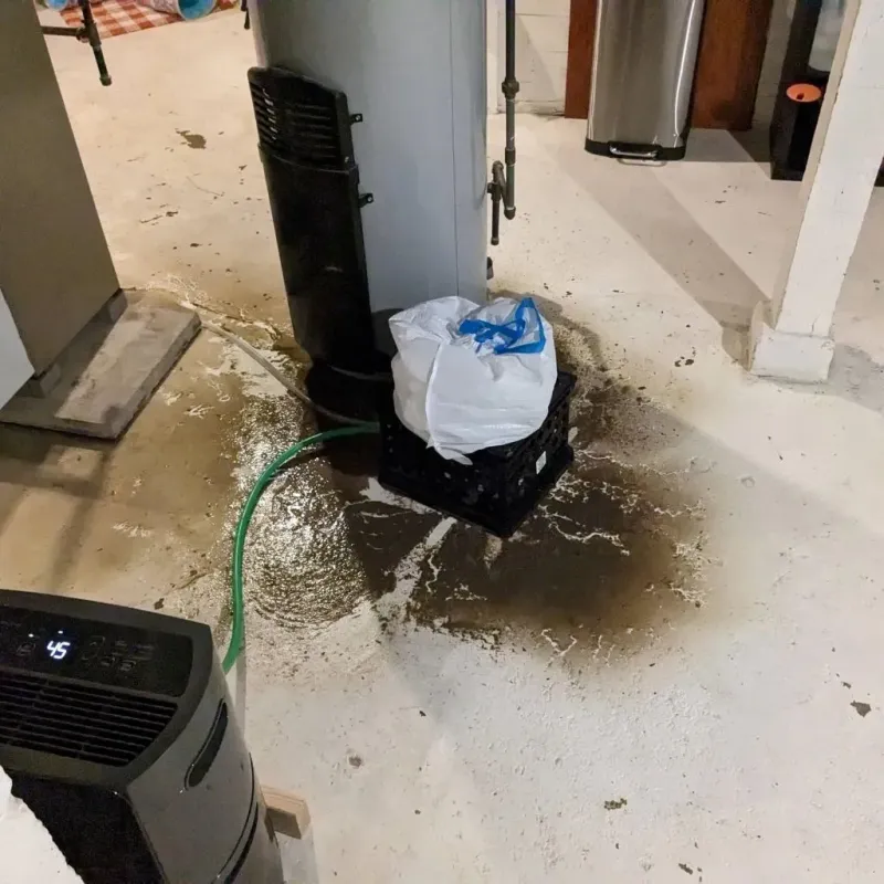Sewage Backup Cleanup Service in Clark County, NV